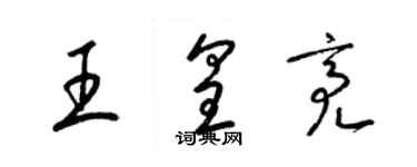 梁錦英王皇亮草書個性簽名怎么寫