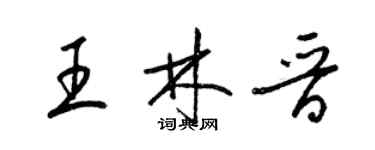 梁錦英王林晉草書個性簽名怎么寫