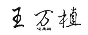 駱恆光王萬植行書個性簽名怎么寫