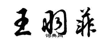 胡問遂王羽菲行書個性簽名怎么寫