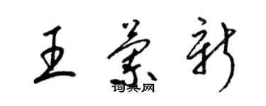 梁錦英王蘭新草書個性簽名怎么寫