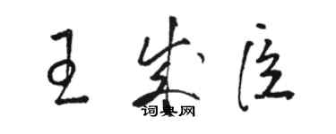 駱恆光王成臣草書個性簽名怎么寫