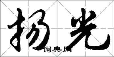 胡問遂揚光行書怎么寫