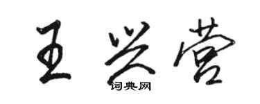 駱恆光王興營行書個性簽名怎么寫