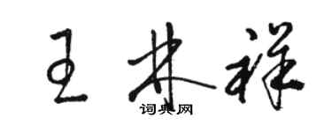 駱恆光王林祥草書個性簽名怎么寫