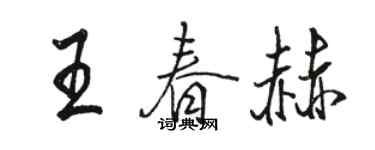 駱恆光王春赫行書個性簽名怎么寫