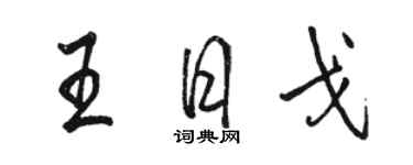 駱恆光王日戈行書個性簽名怎么寫