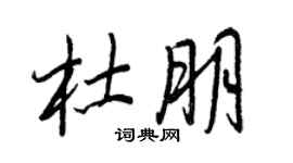 王正良杜朋行書個性簽名怎么寫