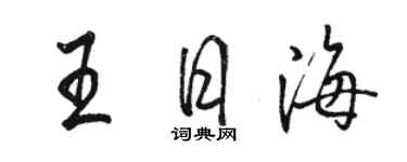 駱恆光王日海行書個性簽名怎么寫