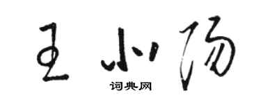 駱恆光王北陽草書個性簽名怎么寫