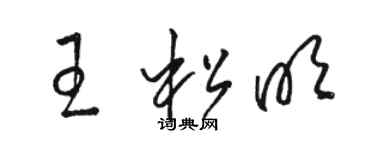 駱恆光王松明草書個性簽名怎么寫