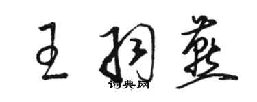 駱恆光王羽燕草書個性簽名怎么寫