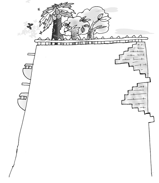 我家的小果園_我家的小果園作文