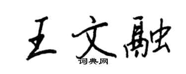 王正良王文融行書個性簽名怎么寫