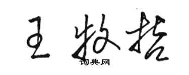 駱恆光王牧哲草書個性簽名怎么寫