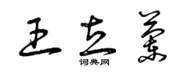 曾慶福王立蘭草書個性簽名怎么寫