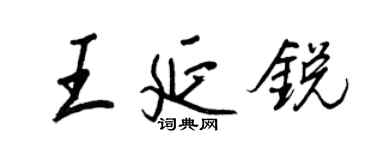 王正良王延銳行書個性簽名怎么寫