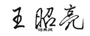 駱恆光王昭亮行書個性簽名怎么寫