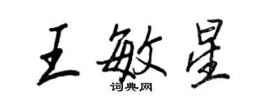 王正良王敏星行書個性簽名怎么寫