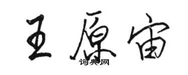 駱恆光王原宙行書個性簽名怎么寫