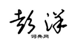朱錫榮彭洋草書個性簽名怎么寫