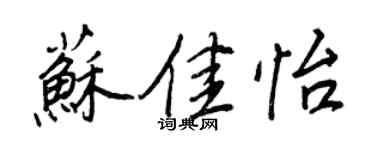 王正良蘇佳怡行書個性簽名怎么寫