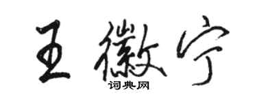 駱恆光王徽寧行書個性簽名怎么寫