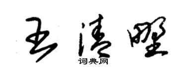 朱錫榮王清野草書個性簽名怎么寫