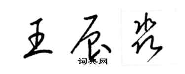 梁錦英王辰淼草書個性簽名怎么寫