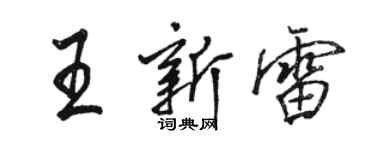 駱恆光王新雷行書個性簽名怎么寫