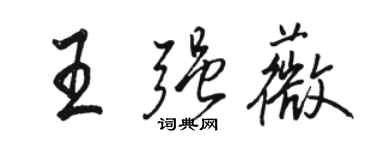 駱恆光王強薇行書個性簽名怎么寫