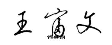 梁錦英王富文草書個性簽名怎么寫