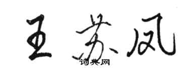 駱恆光王蘇鳳行書個性簽名怎么寫