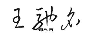 駱恆光王馳名草書個性簽名怎么寫