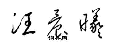 梁錦英汪晨曦草書個性簽名怎么寫