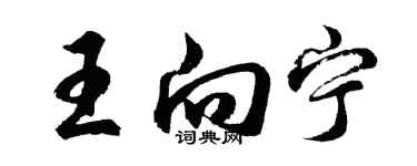 胡問遂王向寧行書個性簽名怎么寫
