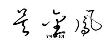 梁錦英吳金鳳草書個性簽名怎么寫