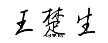 王正良王楚生行書個性簽名怎么寫