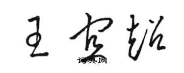 駱恆光王宜超草書個性簽名怎么寫