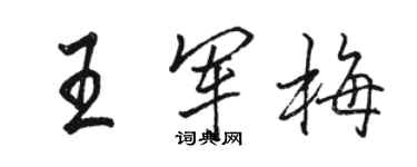 駱恆光王軍梅行書個性簽名怎么寫