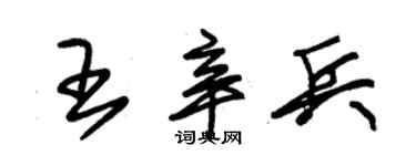 朱錫榮王辛兵草書個性簽名怎么寫