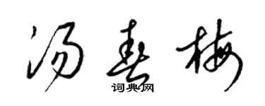 梁錦英湯春梅草書個性簽名怎么寫