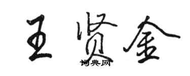 駱恆光王賢金行書個性簽名怎么寫