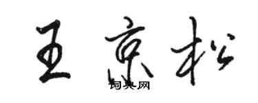 駱恆光王京松行書個性簽名怎么寫