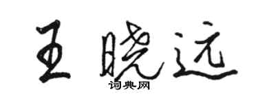 駱恆光王曉遠行書個性簽名怎么寫