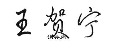 駱恆光王賀寧行書個性簽名怎么寫