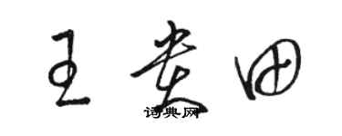 駱恆光王貴田草書個性簽名怎么寫