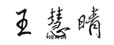 駱恆光王慧晴行書個性簽名怎么寫