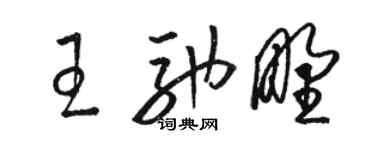 駱恆光王馳野草書個性簽名怎么寫