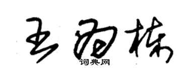 朱錫榮王為棟草書個性簽名怎么寫